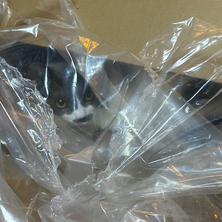 C4cff013 c7c5 410d 8131 a43f45d0cf3d 1663664222645