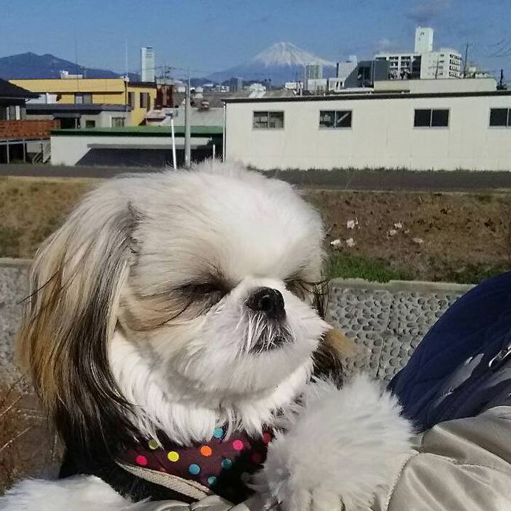 C4d041f2 0741 4ef0 80ce 1f21406e2d08 1546315523212