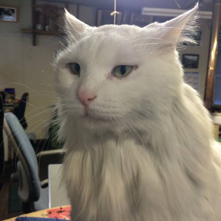 C4d08178 1e71 4064 9561 66ba810c690c 1518560723402