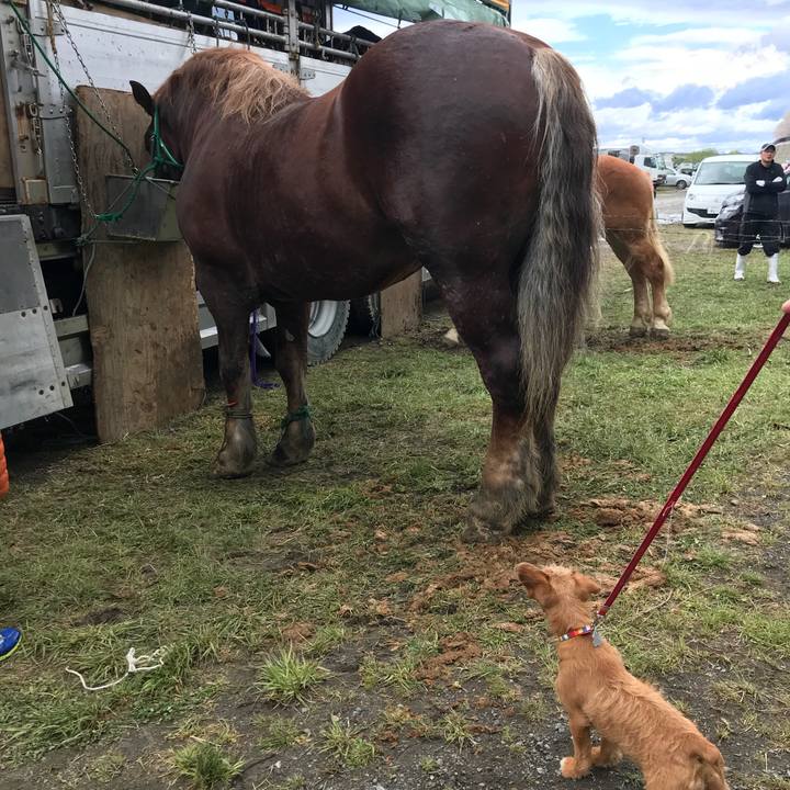 C4d08f5f 2fd0 458d 80ed c5d3858ee3cd 1523761740917