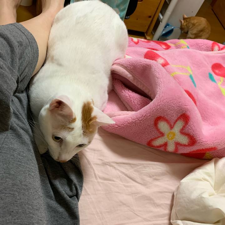 C4d0a701 f75f 4421 9dbf ce4192a4800b 1570762403884