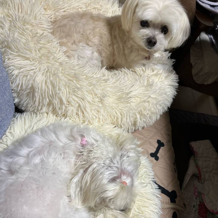 C4d0b186 ff7d 4ed5 8e6c bdf19892aea2 1730193965584