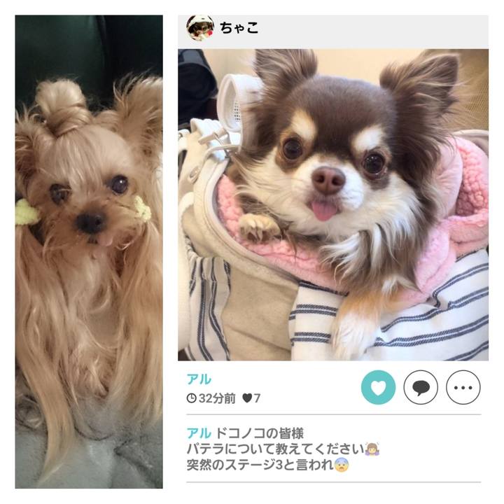 C4d138f7 94e8 4d1d a817 71263fb5b2ea 1708172654258