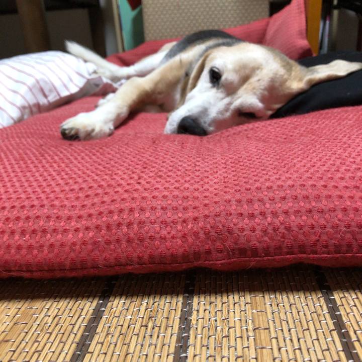 C4d15f4b 1d42 4603 9c84 39f51313d833 1599567003809