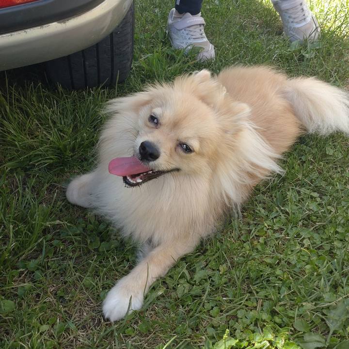 C4d17d46 777d 4151 97d3 db783d73e6f3 1754180891336