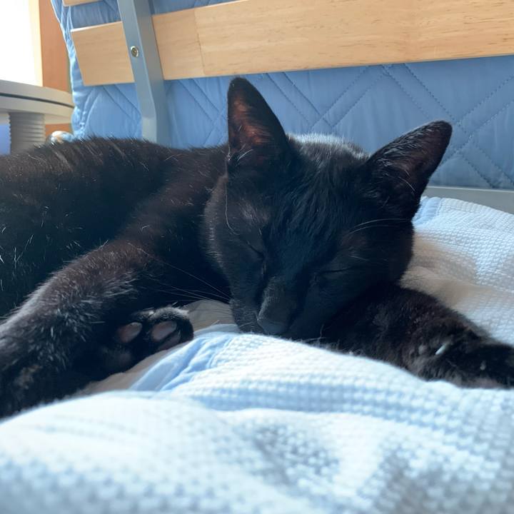 C4d18cb2 d2d1 4bd1 9163 66bfc16c4c8d 1588727022659