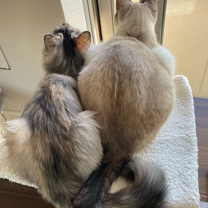 C4d19013 487c 403a aeb6 0cc108098dc1 1702773762104