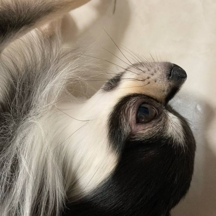 C4d1b3e7 7ba1 4397 8b7e 0e64bd55d915 1616855456668