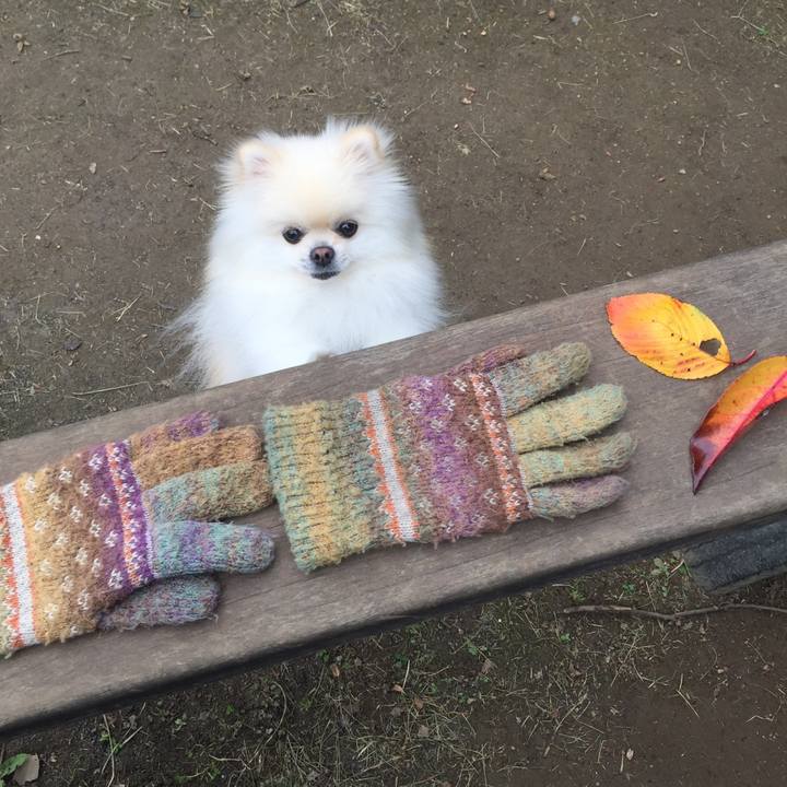 C4d1c7f0 126d 4968 b5f5 9266a7c99333 1543281836581