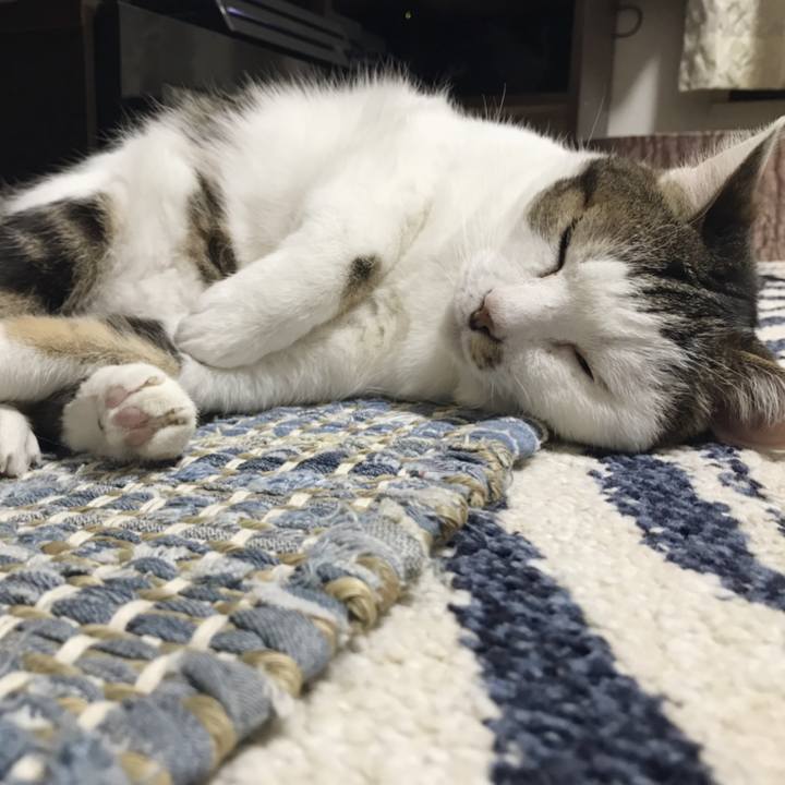 C4d1d309 c6a0 4af5 a5d4 414978c0a3d9 1557126796322