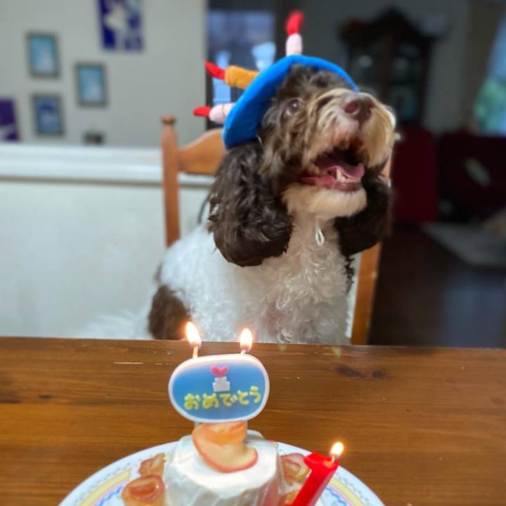 C4d206da 5d1c 4c9c 9cd9 19bd3d8961bf 1633236612149