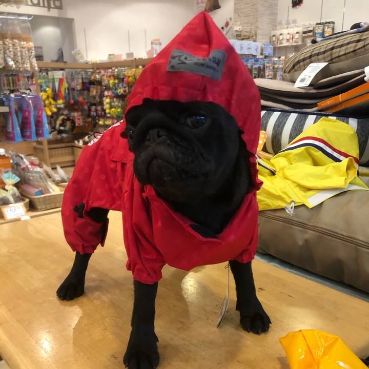 C4d248d4 8445 4be6 acb5 8007b9fcbe3b 1592542206328