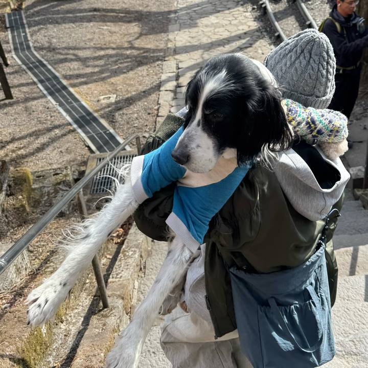 C4d29cba 74d4 44f1 8ccb cdcf2b800b3f 1770553630372