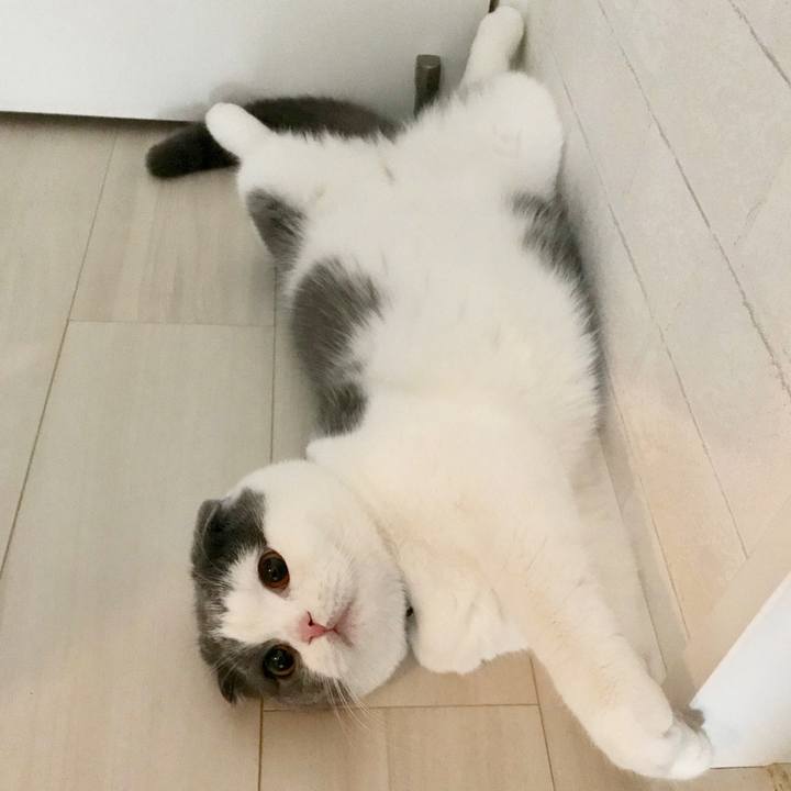 C4d2b47b 5bba 4fa6 81bd 72b82fb9a9d7 1520748626562