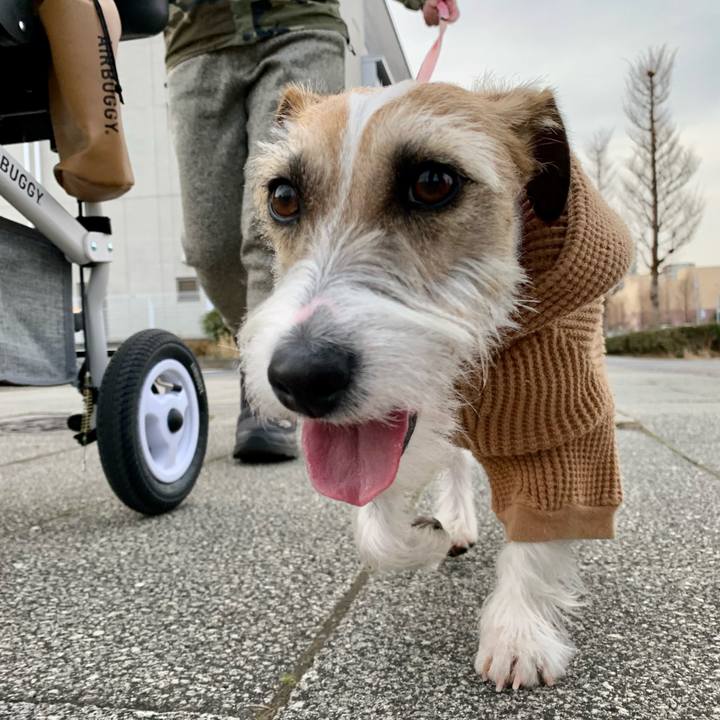 C4d2e903 3956 4e9b aabf 4396688f9955 1613128290468