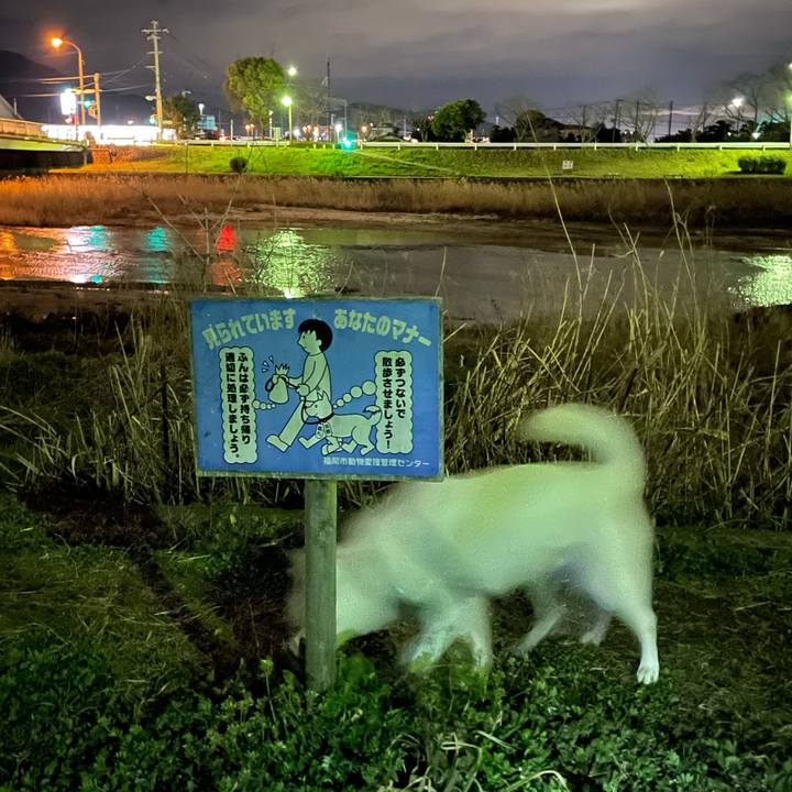 C4d2ed35 25f3 490b 8809 3385b3251c90 1615290077224