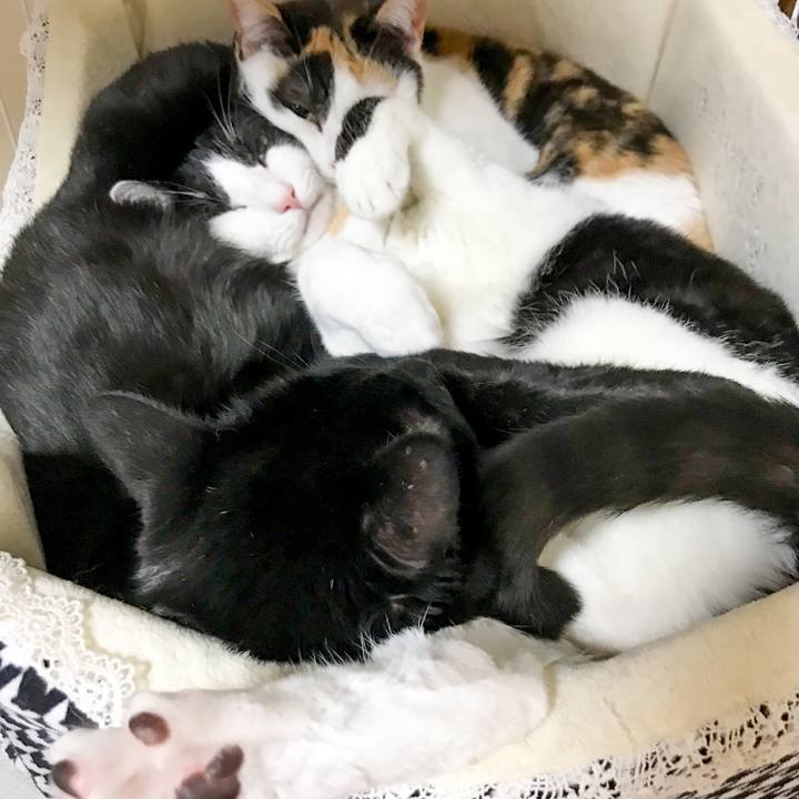 C4d2f81e 1f11 4ada 80aa 2d65f007f468 1516891101975