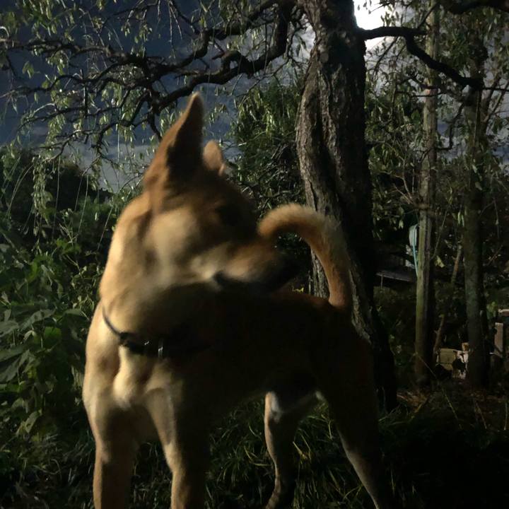 C4d3038d c075 477f bbe1 7b0dbcff02ab 1570963675823