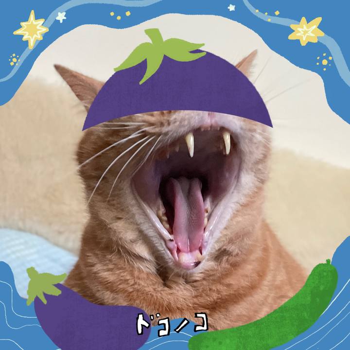 C4d32b85 b99b 4426 a6c2 da36c1ec7a5d 1755095164302