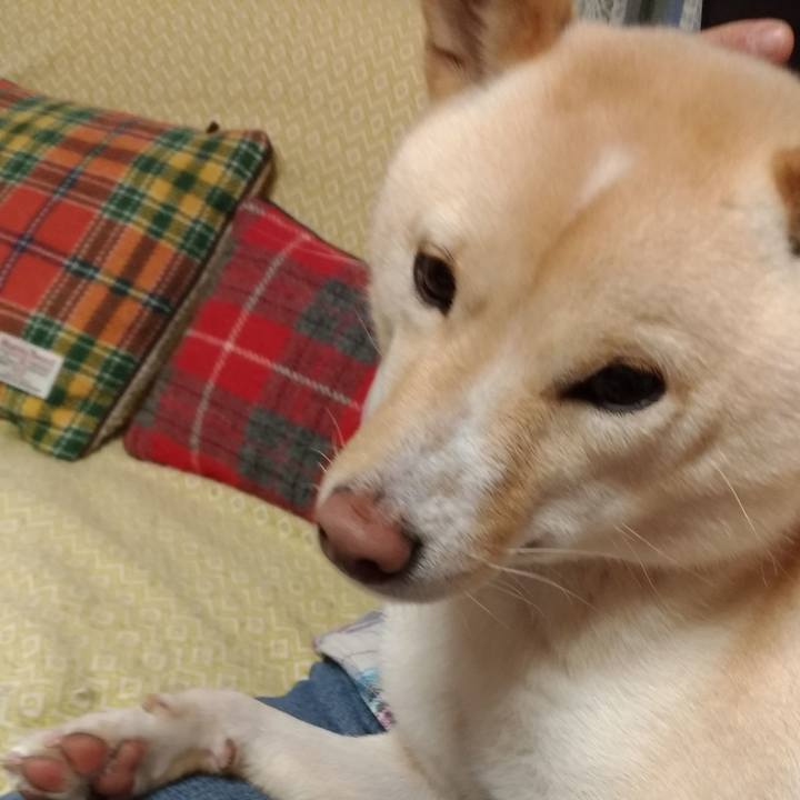 C4d39541 ec8f 44d0 87f6 625119390895 1544570629984