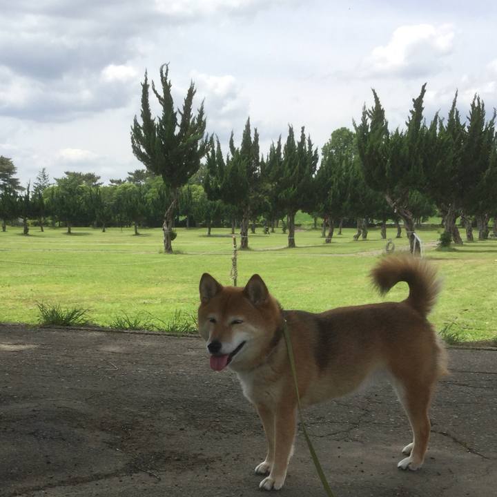 C4d3b3a4 294e 4739 ae5c 04f0d0482372 1560491877404