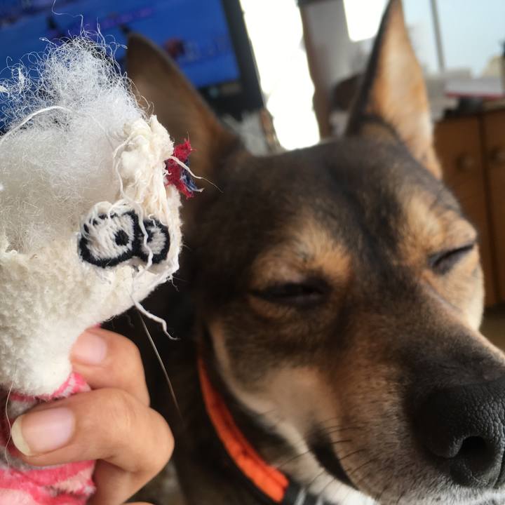 C4d3bc39 cced 4cc2 ba36 f5389659c941 1511753779767