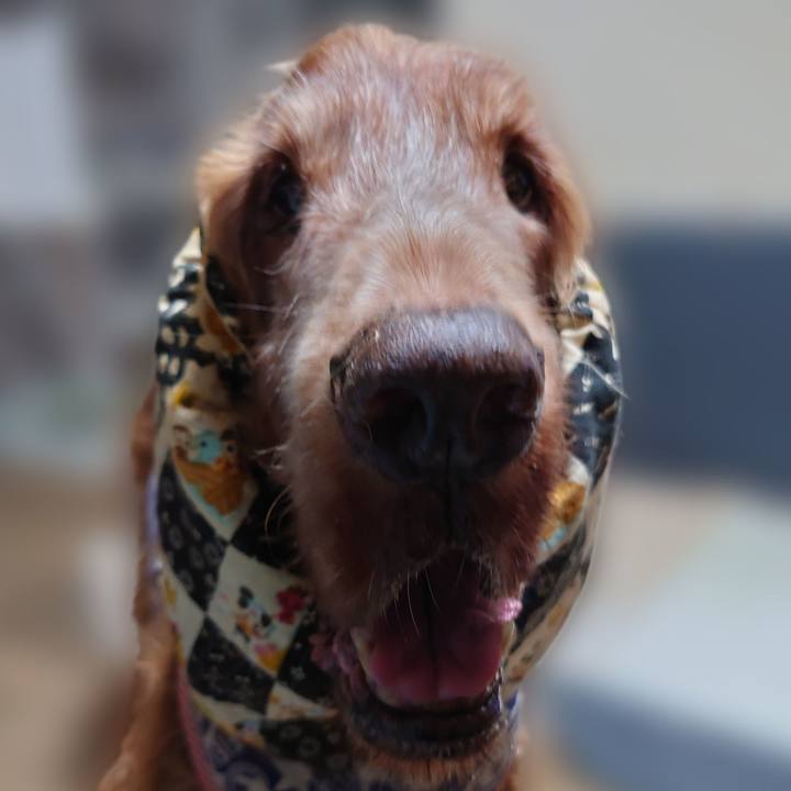 C4d41fbb b7f0 49c3 9ff0 b69f2863a235 1694078750154