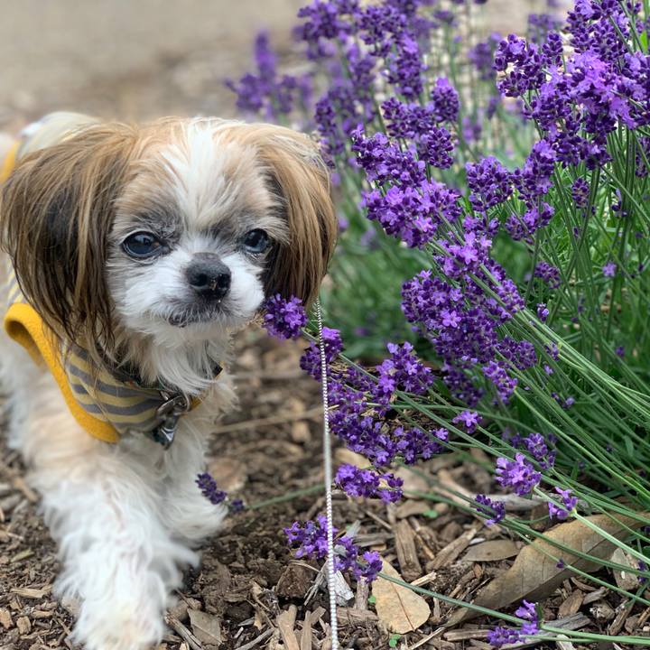 C4d4d5b4 67c6 44b2 80ae 7f972089b7f6 1749706683538