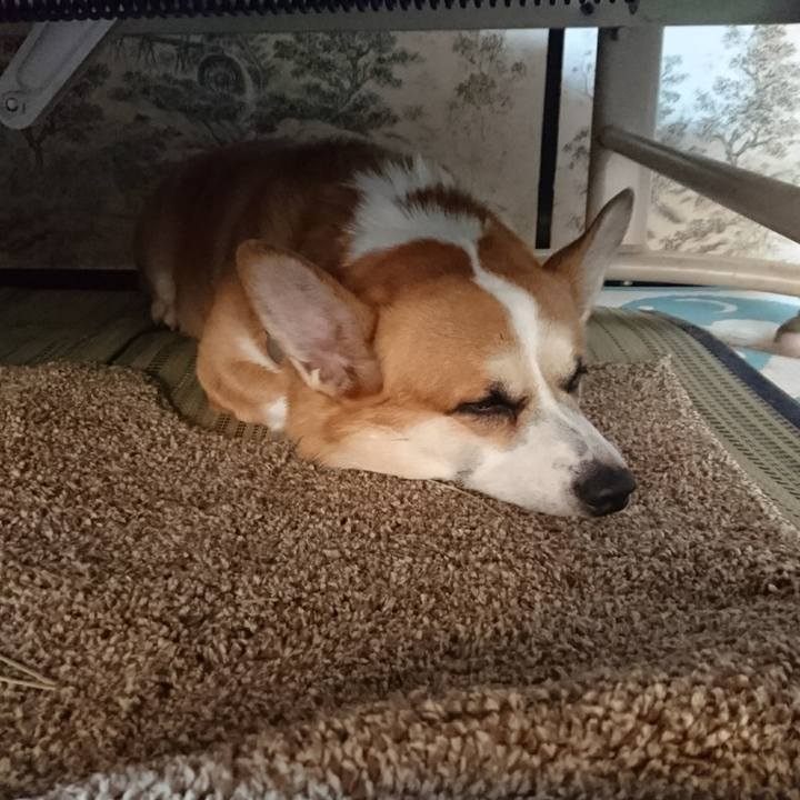 C4d4e662 48de 4919 9e5e d528279795d8 1665539783890