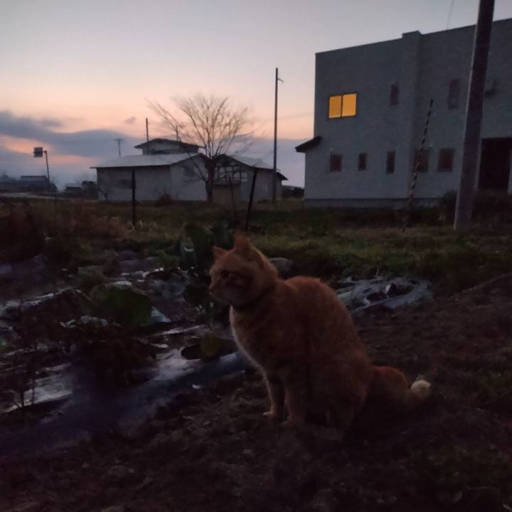 C4d4f434 95c6 41d7 bf98 95ed68eb6d84 1668116070833