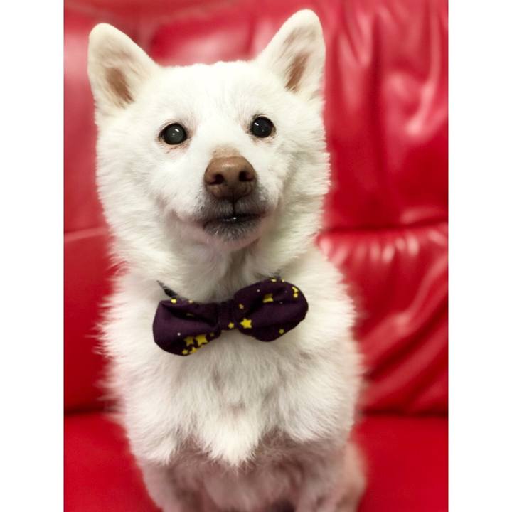 C4d517ed 1101 40be b62e 6ad856e488b9 1590673329298