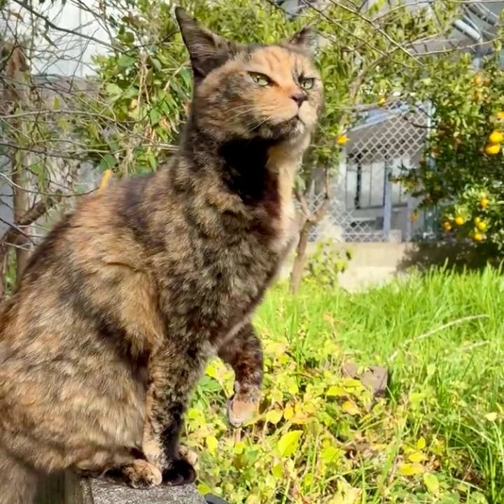 C4d522fc 4278 47e1 9969 72cd815b108d 1764295035712