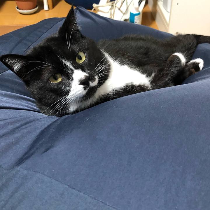 C4d5244c 30c9 4a28 814a 0da8d04320f3 1654745342744