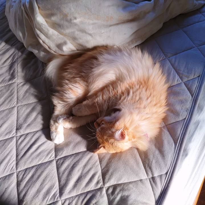 C4d53178 b079 46fd 8716 04a645d527cd 1695078426267