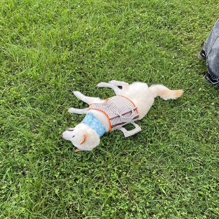 C4d53e06 7598 4e53 983b 5a6a46ee6f7c 1658067556561