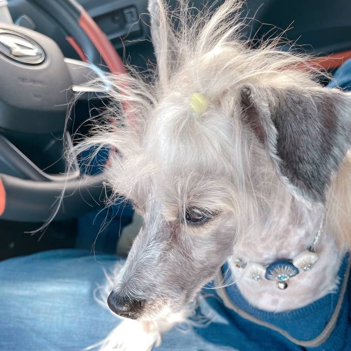 C4d541dd aa50 4a58 8b09 585dcc6adbe6 1761280195105