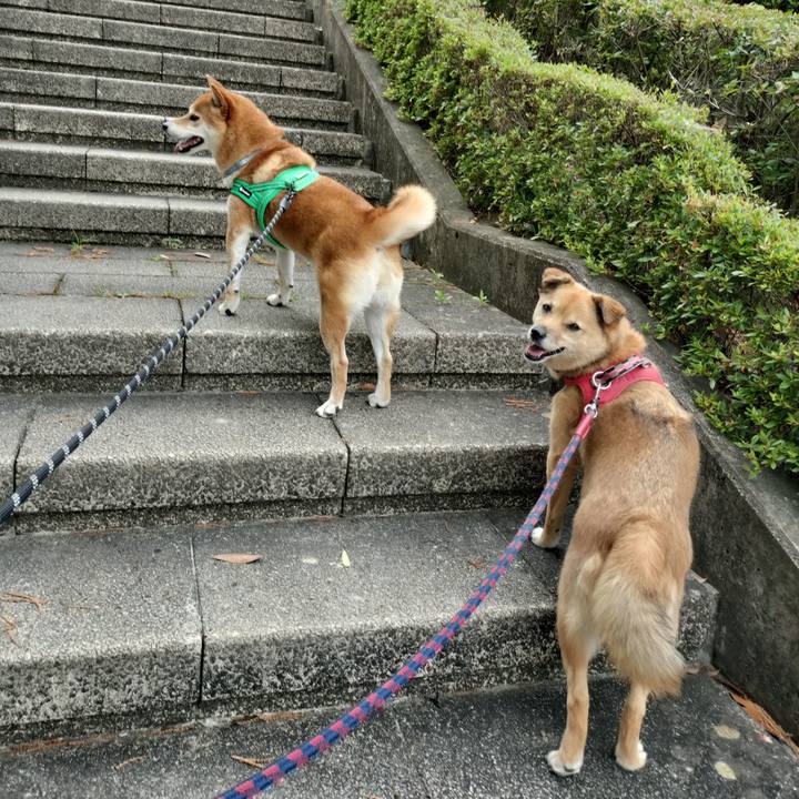 C4d5663a a7f7 4bb8 834f c55419949bbb 1719585184999