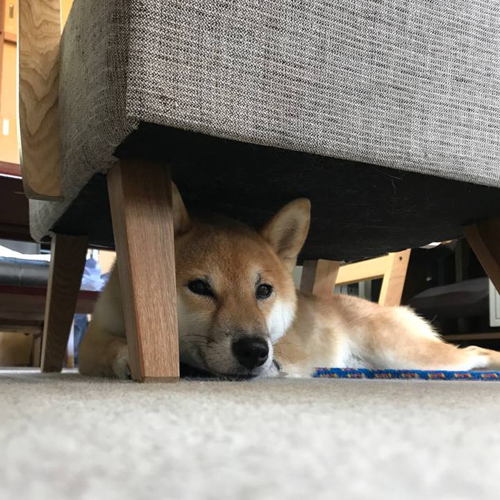 C4d57890 a9cc 4e7f 9b21 dc8cc19202f5 1535957855150