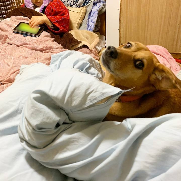 C4d58c8e dc09 4c4b 83a0 3a5820f3e85e 1575039325330