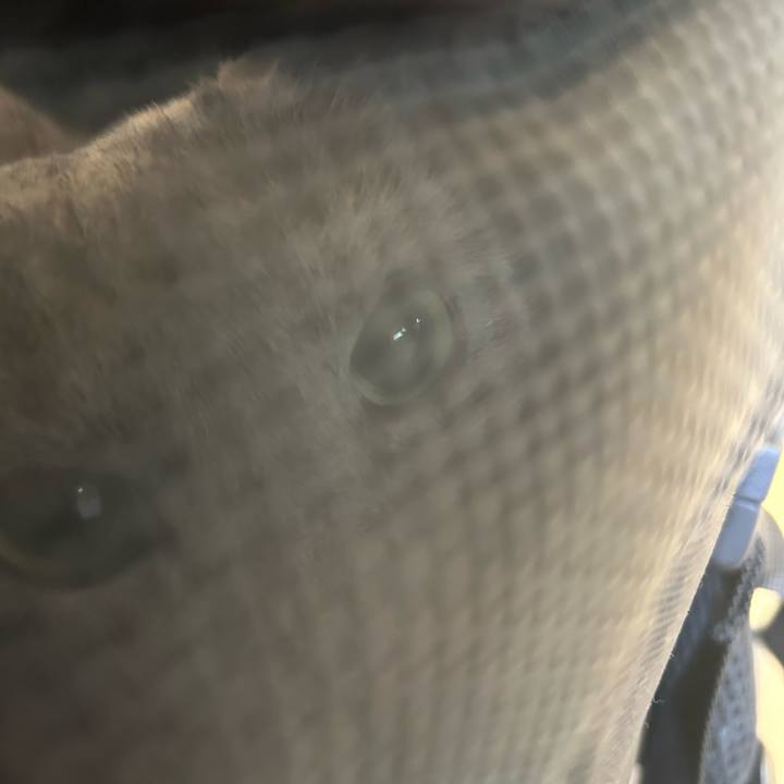 C4d5939d 790d 4f20 8a95 2fc42eae2308 1696325354806