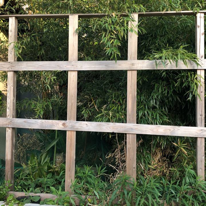 C4d59d18 00b6 4ac9 a8fc 70e161bc2b26 1523738871498