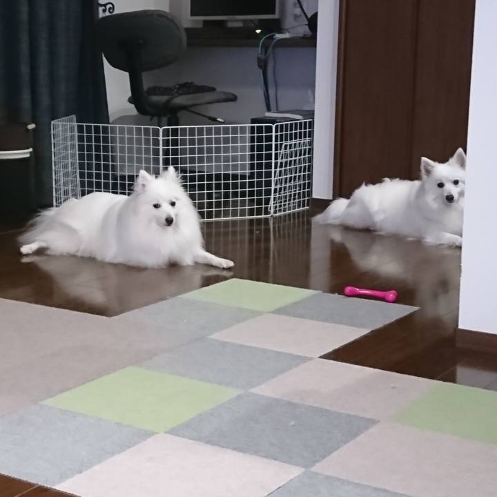 C4d5a530 ca16 4536 bc97 ff0b66bfd4b8 1591173015792