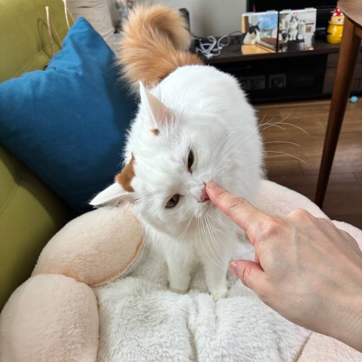 C4d5be40 4e0e 4a85 9fb5 90825948f9b8 1772338650887