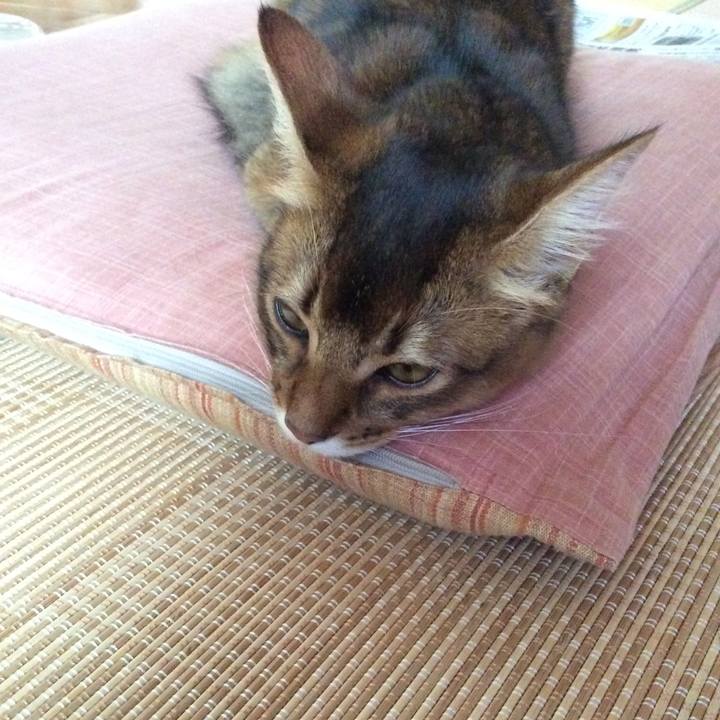 C4d5e1d0 6939 440d be11 f60e727c04aa 1567035051212