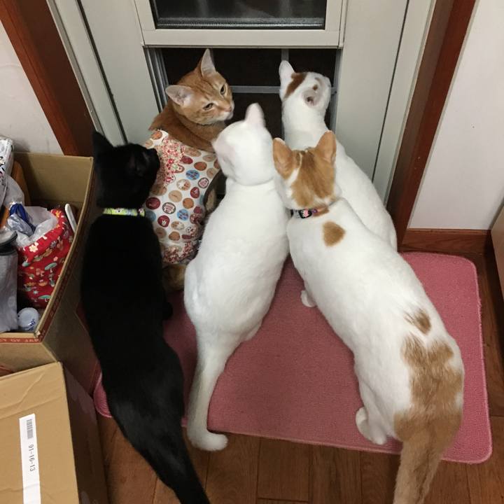 C4d62d39 4b91 41f4 9d0e 1541328e74f8 1520029313345