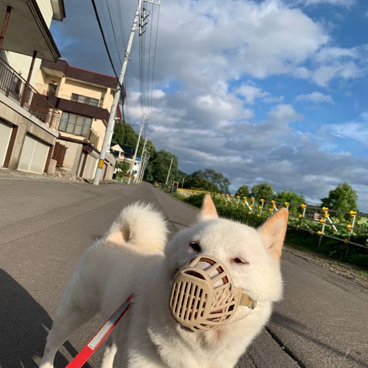 C4d62ed9 33c8 4e49 b64c 9863988e5843 1565907833233