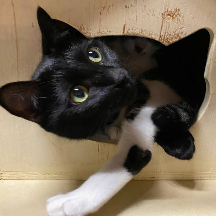 C4d67de6 dda5 4f39 8752 7060a1b7bd06 1602232630897