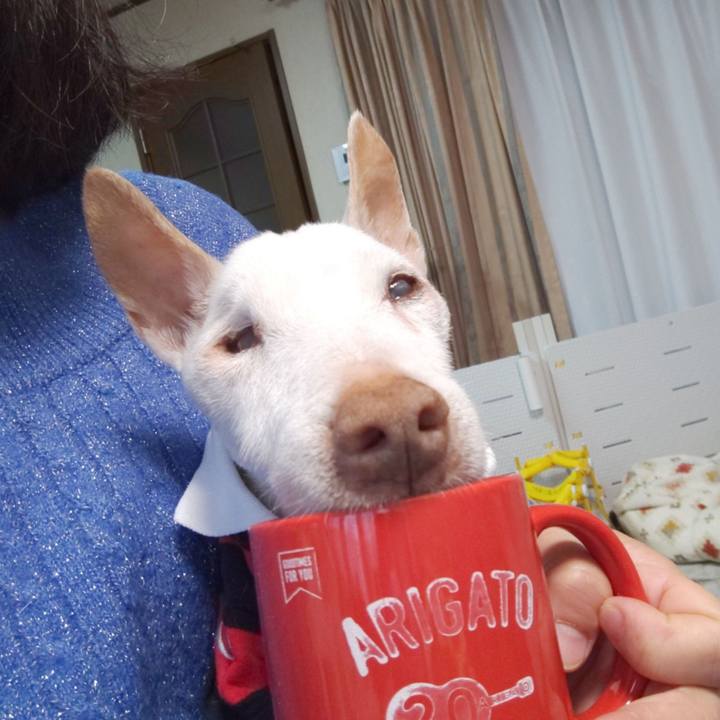 C4d684ca 0e69 420c b682 1ae6e09101e6 1608852821767