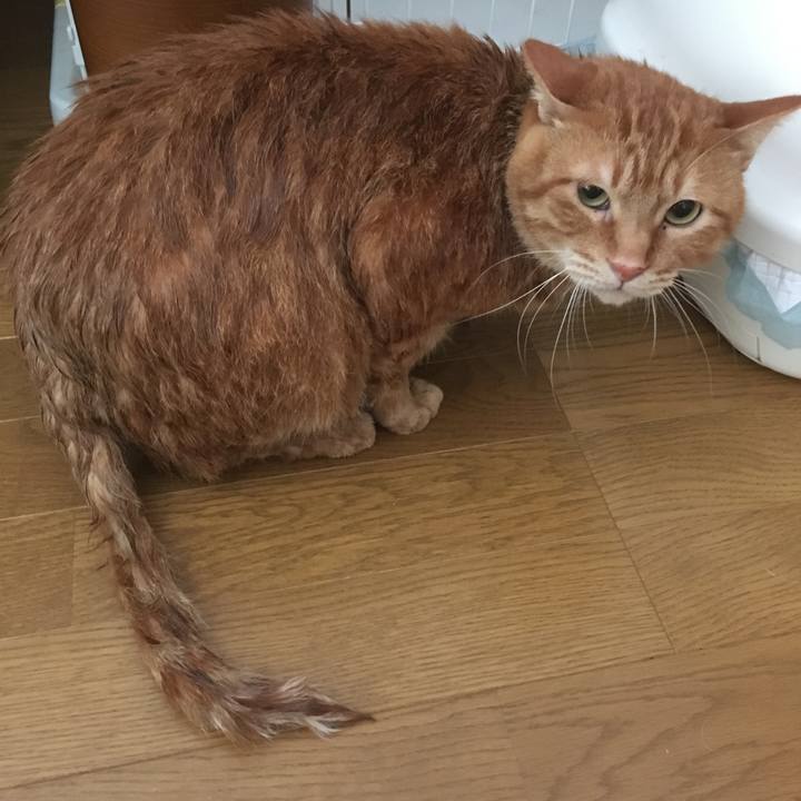 C4d68784 e021 427f acfa dcd24683b3be 1546227129521