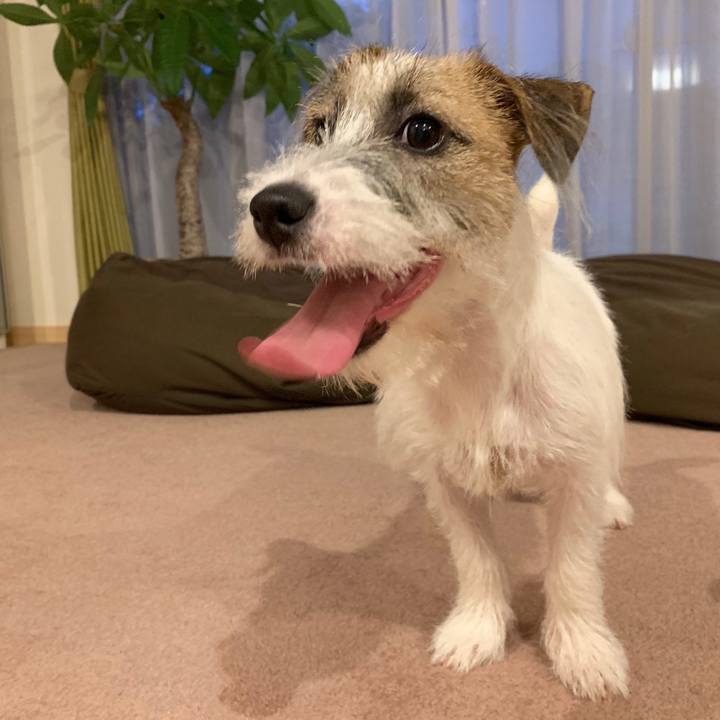 C4d6a8e7 25a6 415b 87f2 1772503e04ac 1566989205595